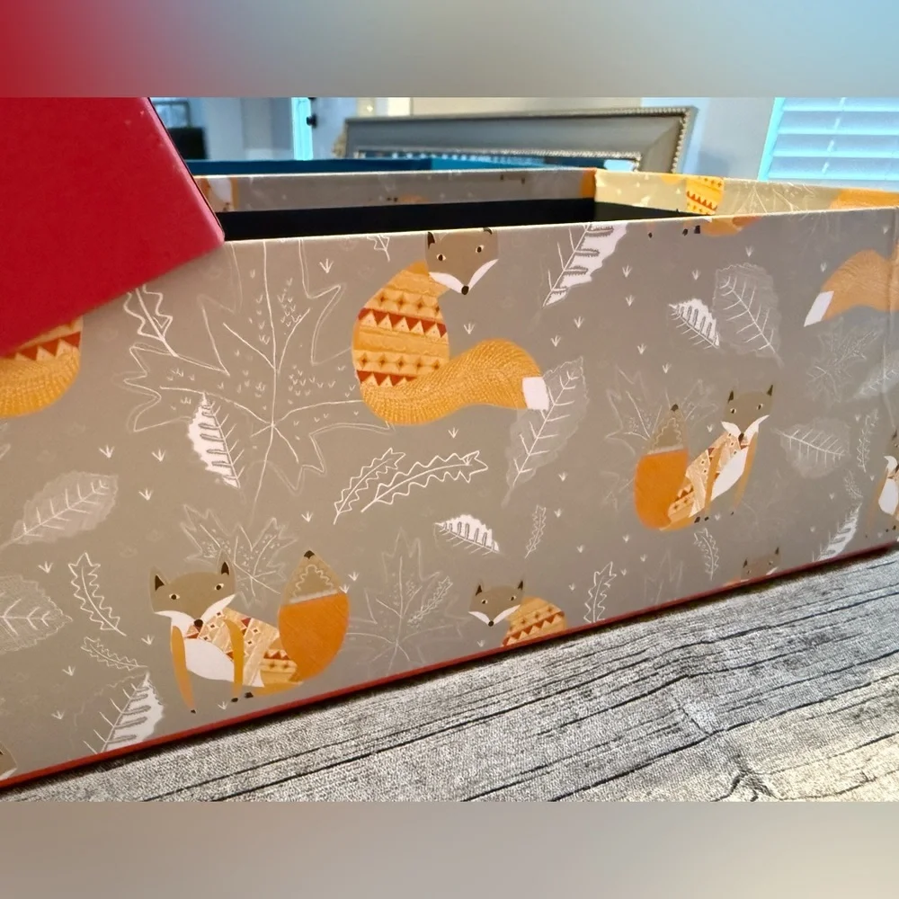 Set of 2 decorative storage boxes. Super cute!